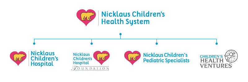 organizational chart of the health system